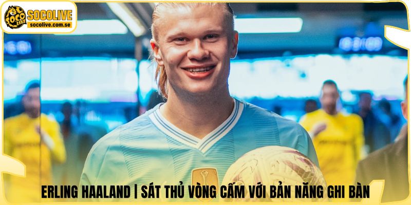 Erling Haaland | Sát Thủ Vòng Cấm Với Bản Năng Ghi Bàn 4 Erling Haaland | Sát Thủ Vòng Cấm Với Bản Năng Ghi Bàn